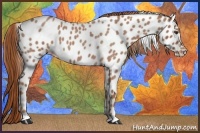 Horse Color:Red Roan Near Leopard 