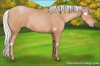 Horse Color:Silver Bay Pearl 