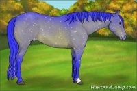 Horse Color:Watercolor Brown Roan Snowflake Varnish