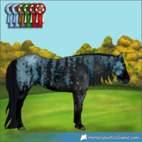 Horse Color:ERROR: UNKNOWN ANOMALY