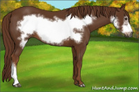 Horse Color:Gray Chestnut Frame