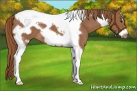 Horse Color:Chestnut Tobiano Frame 