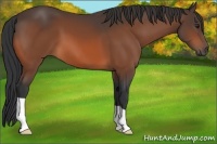 Horse Color:Brown 