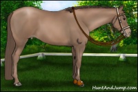 Horse Color:Black Pearl 