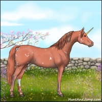 Horse Color:Watercolor White Spotted Chestnut 