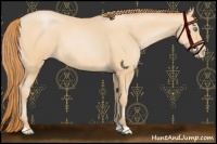 Horse Color:Buckskin Pearl 