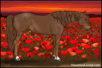 Horse Color:Gray Chestnut