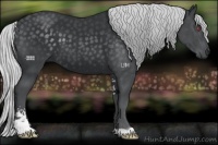 Horse Color:Silver Black Chinchilla Sabino 