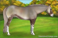 Horse Color:Silver Blue Onyx 