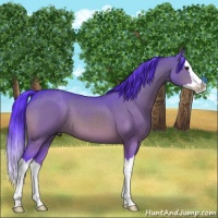 Horse Color:Watercolor Brown Dun Splash Brindle 