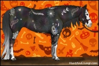 Horse Color:Midnight Grullo Roan Splash 