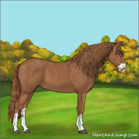 Horse Color:Chestnut Splash Frame