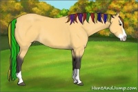 Horse Color:Painted Buckskin Splash