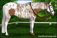 Horse Color:Chocolate Palomino Sabino Splash Varnish and Buckskin Sabino Splash Tobiano