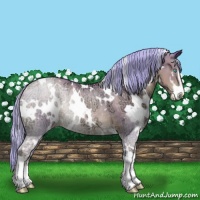 Horse Color:Watercolor White Spotted Chocolate Palomino Ice Pearl Sabino Rabicano