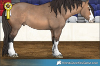 Horse Color:Bay Dun