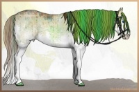 Horse Color:Plaid  White Spotted Liver Red Dun Ice Sabino Splash 