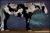 Horse Color:White Spotted Bay Ice Onyx Splash 