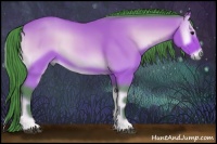 Horse Color:Watercolor Buckskin Onyx Sabino