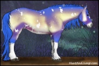 Horse Color:Watercolor White Spotted Brown Onyx