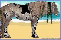 Horse Color:White Spotted Red Onyx Ice 