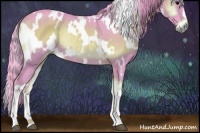 Horse Color:Watercolor White Spotted Smoky Blue Onyx Rabicano
