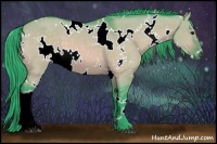 Horse Color:Watercolor White Spotted Bay Dun 