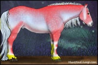 Horse Color:Watercolor Chocolate Palomino Onyx Sabino