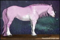 Horse Color:Watercolor Liver Red Dun Sabino