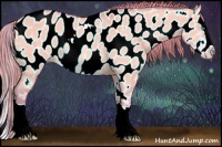 Horse Color:Watercolor Perlino Dun Sabino Splash Appaloosa 