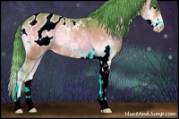 Horse Color:Watercolor Buckskin Onyx Sabino Appaloosa