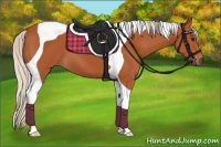 Horse Color:Silver Bay Tobiano