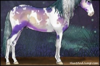 Horse Color:Watercolor White Spotted Bay Onyx Sabino 