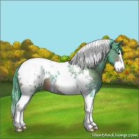 Horse Color:Watercolor Bay Splash Tobiano Blanket 
