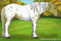 Horse Color:Watercolor Chestnut Tobiano Near Leopard 