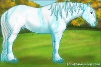 Horse Color:Thunderstruck Chestnut Sabino Splash Appaloosa Rabicano