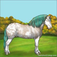 Horse Color:Painted Chestnut Ice Sabino Splash Blanket 