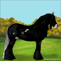 Horse Color:Bay Ice Sabino Splash