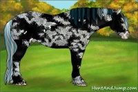 Horse Color:Painted Liver Chestnut Ice Sabino Splash Varnish 
