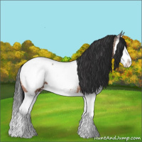 Horse Color:Bay Ice Sabino Splash Appaloosa 