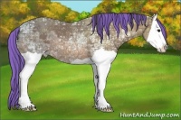 Horse Color:Painted Bay Ice Splash 