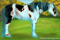 Horse Color:Thunderstruck Bay Ice Sabino Splash Tobiano Varnish 
