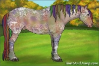 Horse Color:Painted Nacre Bay Ice Sabino Varnish 