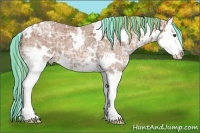 Horse Color:Painted White Spotted Chestnut Ice Splash Appaloosa