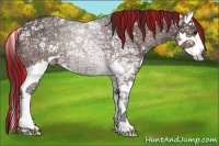 Horse Color:Painted Bay Ice Sabino Splash Appaloosa 