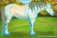 Horse Color:Painted Thunderstruck Buckskin Ice Appaloosa