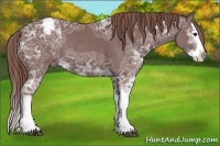 Horse Color:Chocolate Smoky Black Ice Sabino Splash Snowcap 