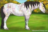 Horse Color:Brown Ice Appaloosa