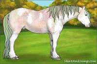 Horse Color:Painted Nacre Chestnut Ice Sabino Splash Varnish 