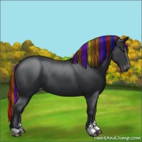 Horse Color:Painted Black Sabino Varnish 
